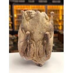 kars kazı 2500-3500 gr arası